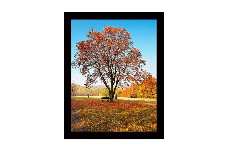 Indrammet lærredstryk i træ - 41x56 cm - Statsligt efterårstræ med farverige blade, Orange / Gul / Brun