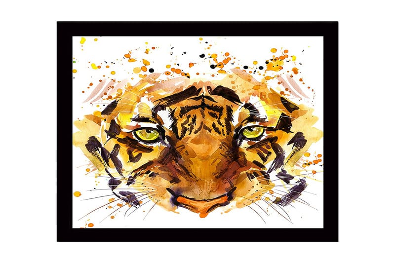 Indrammet lærredstryk i træ - 41x56 cm - Tigeransigt med intense øjne, Orange / Brun / Grøn