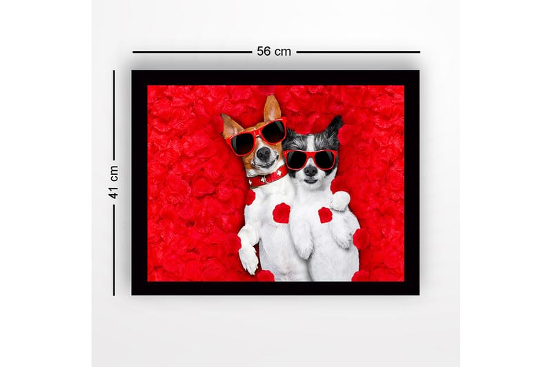 Indrammet lærredstryk i træ - 41x56 cm - To hunde med solbriller omgivet af røde rosenblade - Rød / Sort / Hvid - Boligtilbehør - Billeder & kunst