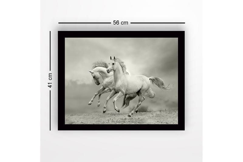 Indrammet lærredstryk i træ - 41x56 cm - To hvide heste galoperer fremad i en dramatisk setting - Hvid / Grå - Boligtilbehør - Billeder & kunst