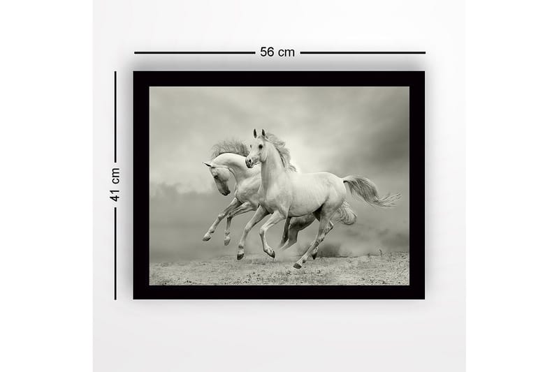 Indrammet lærredstryk i træ - 41x56 cm - To hvide heste galoperer fremad i en dramatisk setting - Hvid / Grå - Boligtilbehør - Billeder & kunst