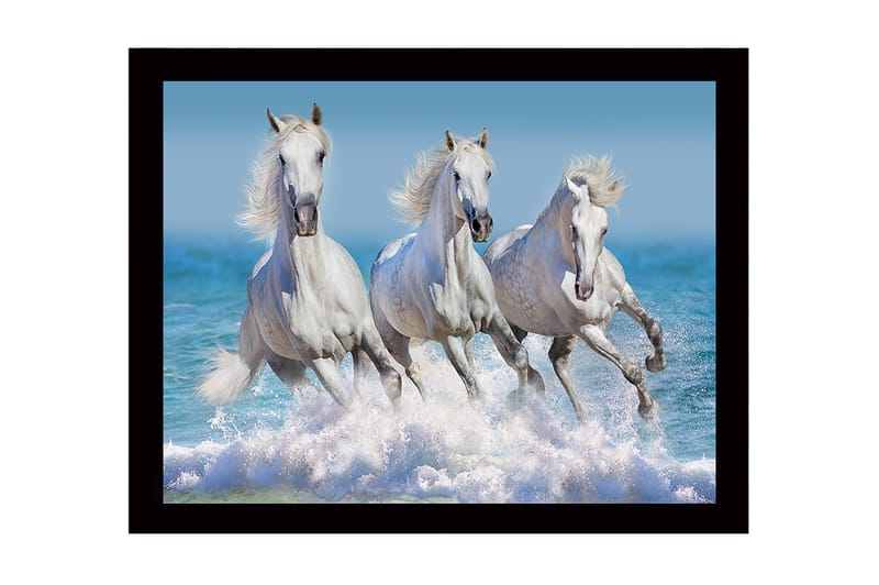 Indrammet lærredstryk i træ - 41x56 cm - Tre hvide heste galoperer gennem bølgerne, Hvid / Blå / Turkis