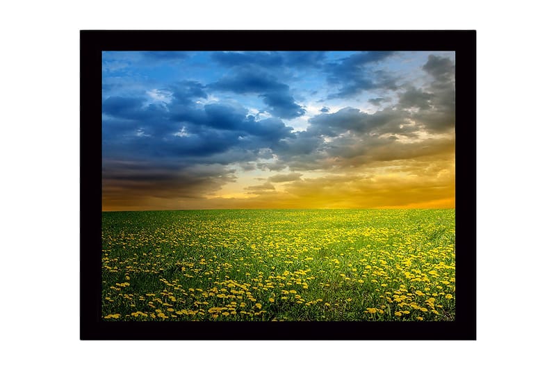 Indrammet trælærredstryk - 41x56 cm - Blomstrende eng med gule mælkebøtter under en dramatisk himmel, Gul / Blå / Grøn