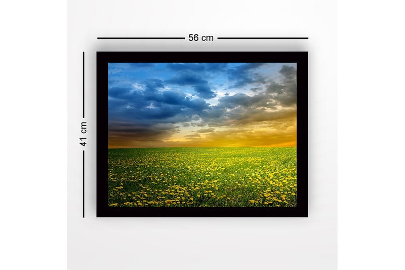 Indrammet trælærredstryk - 41x56 cm - Blomstrende eng med gule mælkebøtter under en dramatisk himmel - Gul / Blå / Grøn - Boligtilbehør - Billeder & kunst