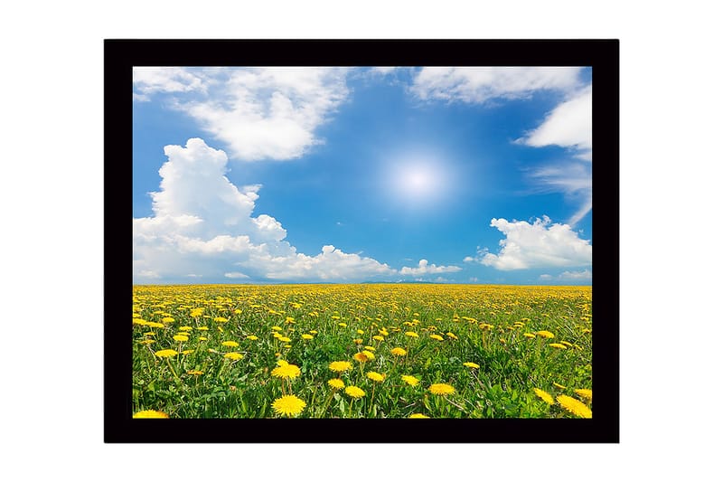 Indrammet trælærredstryk - 41x56 cm - Blomstrende mark med mælkebøtter under en klar blå himmel, Gul / Grøn / Blå