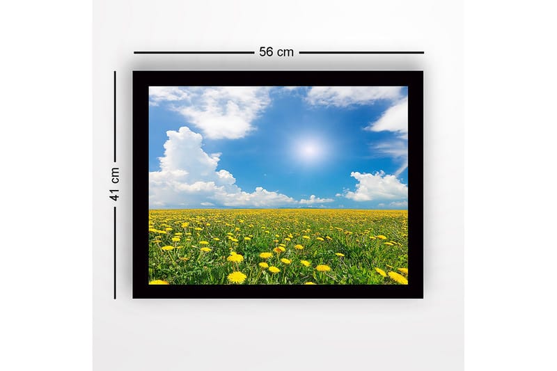 Indrammet trælærredstryk - 41x56 cm - Blomstrende mark med mælkebøtter under en klar blå himmel - Gul / Grøn / Blå - Boligtilbehør - Billeder & kunst