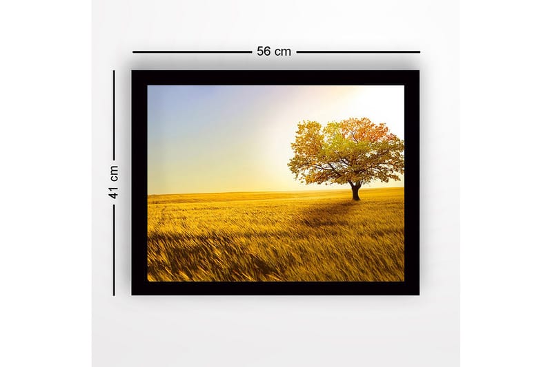 Indrammet trælærredstryk - 41x56 cm - Ensomt efterårstræ i en gylden mark - Guld / Grøn / Orange - Boligtilbehør - Billeder & kunst