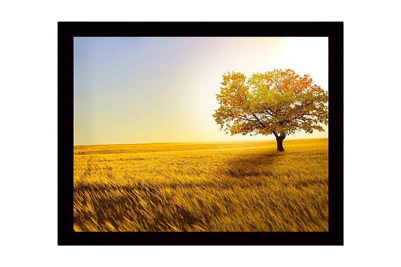 Indrammet trælærredstryk - 41x56 cm - Ensomt efterårstræ i en gylden mark, Guld / Grøn / Orange