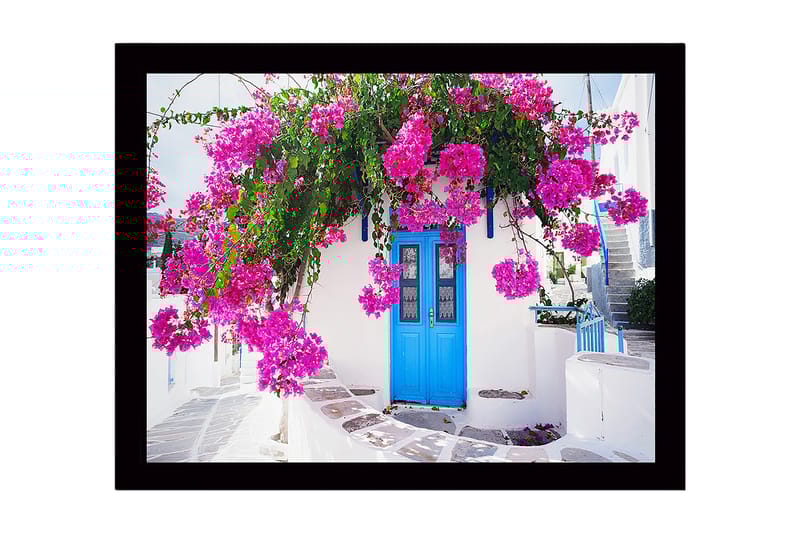 Indrammet trælærredstryk - 41x56 cm - Farverig bougainvillea hængende over en blå dør, Lyserød / Blå / Grøn