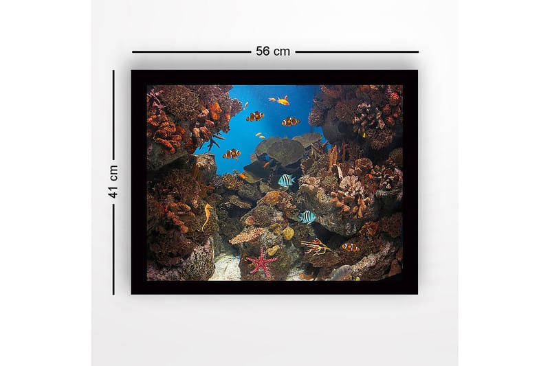 Indrammet trælærredstryk - 41x56 cm - Farverig undervandsscene med koralrev og svømmende fisk - Blå / Orange / Grøn - Boligtilbehør - Billeder & kunst