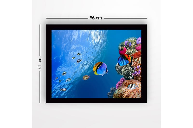 Indrammet trælærredstryk - 41x56 cm - Farverig undervandsscene med koralrev og svømmende fisk - Blå / Orange / Lyserød - Boligtilbehør - Billeder & kunst