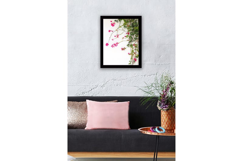 Indrammet trælærredstryk - 41x56 cm - Farverige bougainvillea-blomster, der klatrer langs en gren - Lyserød / Grøn - Boligtilbehør - Billeder & kunst