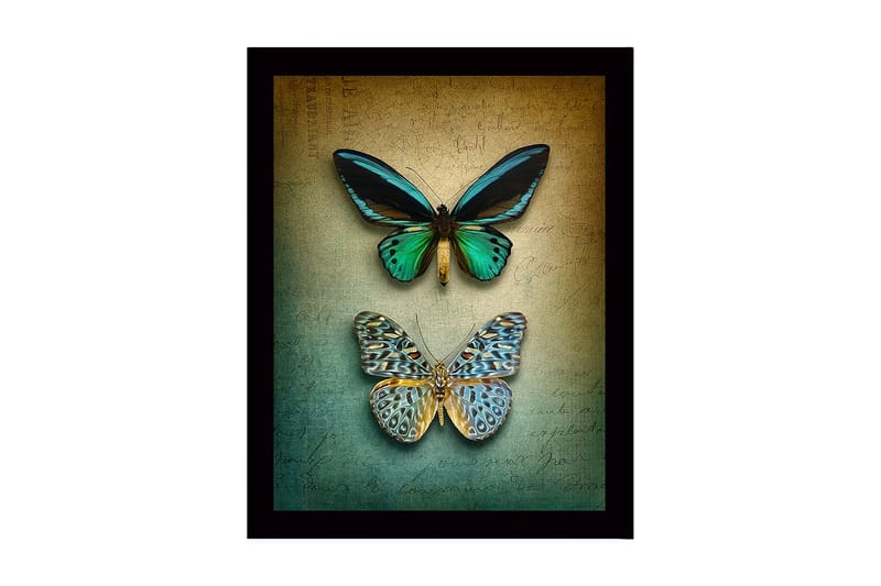 Indrammet trælærredstryk - 41x56 cm - Farverige sommerfugle på en tekstureret baggrund, Grøn / Blå / Beige