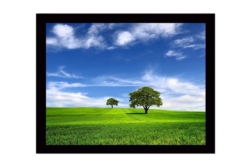 Indrammet trælærredstryk - 41x56 cm - Frodigt landskab med to træer under en blå himmel, Grøn / Blå