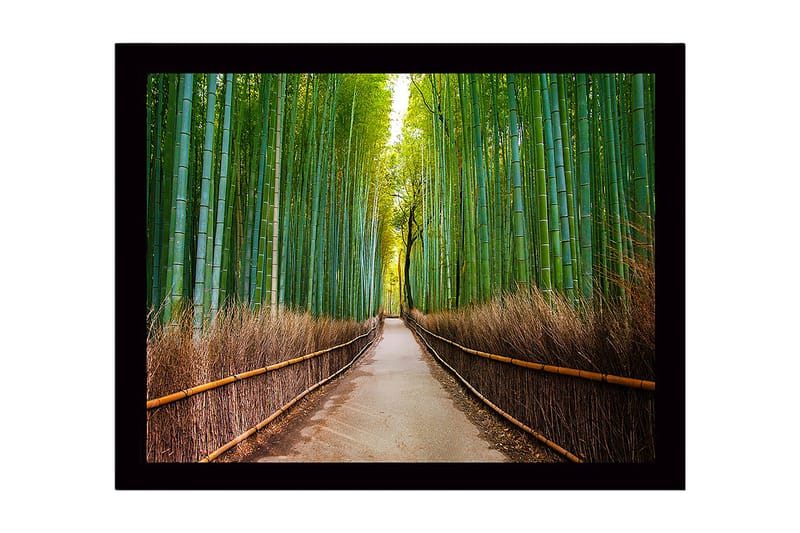 Indrammet trælærredstryk - 41x56 cm - Gr øn bambusskov med en sti, der fører gennem træerne, Grøn / Brun