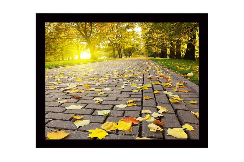 Indrammet trælærredstryk - 41x56 cm - Gyldne efterårsblade på en asfalteret vej, Gul / Orange / Brun