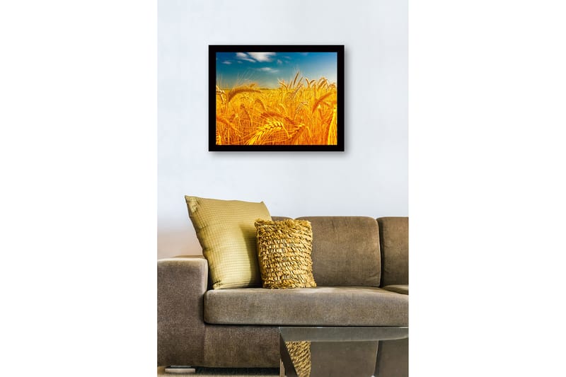 Indrammet trælærredstryk - 41x56 cm - Gyldne hvedemarker under en klar himmel - Guld / Blå / Grøn - Boligtilbehør - Billeder & kunst
