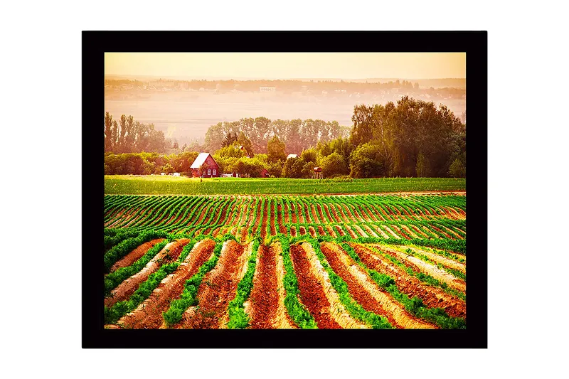 Indrammet trælærredstryk - 41x56 cm - Landligt motiv med et rødt hus omgivet af grønne marker og pløjede marker, Grøn / Orange / Rød