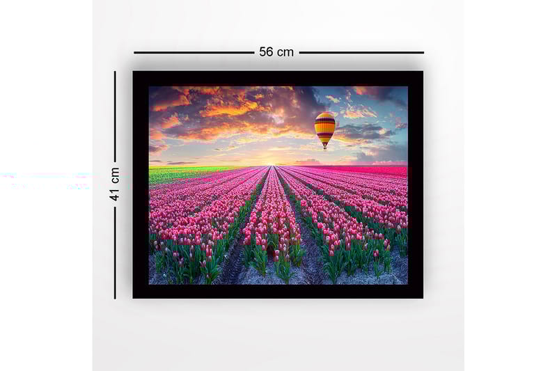 Indrammet trælærredstryk - 41x56 cm - Mark af farverige tulipaner under en ballon ved solnedgang - Lyserød / Grøn / Orange - Boligtilbehør - Billeder & kunst