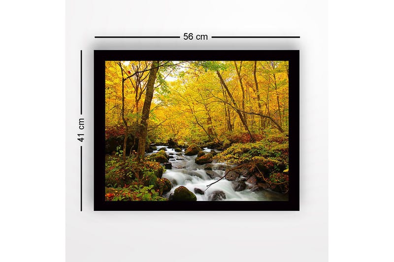 Indrammet trælærredstryk - 41x56 cm - Smuk skov med en rislende bæk omgivet af gyldne efterårsblade - Gul / Grøn / Brun - Boligtilbehør - Billeder & kunst