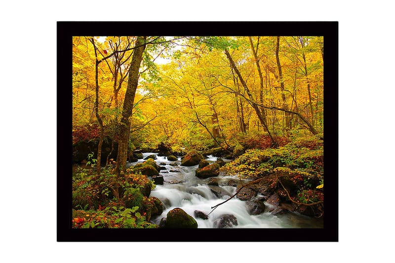 Indrammet trælærredstryk - 41x56 cm - Smuk skov med en rislende bæk omgivet af gyldne efterårsblade, Gul / Grøn / Brun