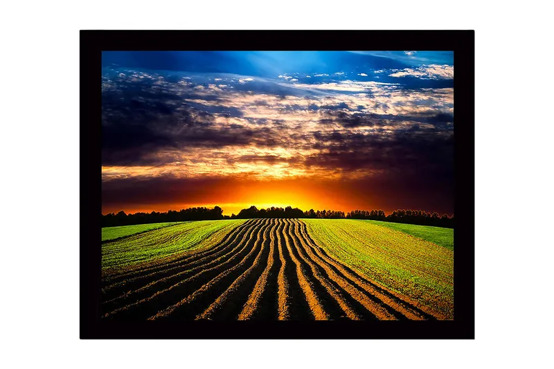 Indrammet trælærredstryk - 41x56 cm - Smuk solnedgang over en bølgende mark med pløjede rækker, Grøn / Orange / Blå