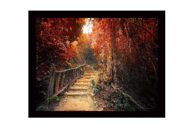 Indrammet trælærredstryk - 41x56 cm - Smuk sti gennem en efterårsfarvet skov, Rød / Orange / Brun