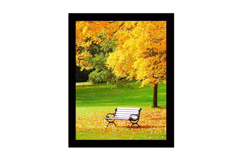 Indrammet trælærredstryk - 41x56 cm - Smuk parkbænk omgivet af gyldne efterårsblade, Guld / Grøn / Sort