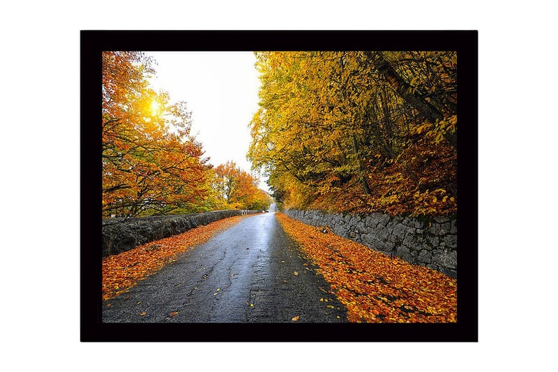 Indrammet trælærredstryk - 41x56 cm - Smukt efterårslandskab med en vej omgivet af gyldne træer, Guld / Orange / Grå