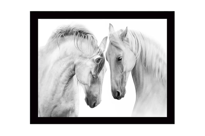 Indrammet trælærredstryk - 41x56 cm - To majestætiske heste læner hovederne mod hinanden, Hvid / Grå