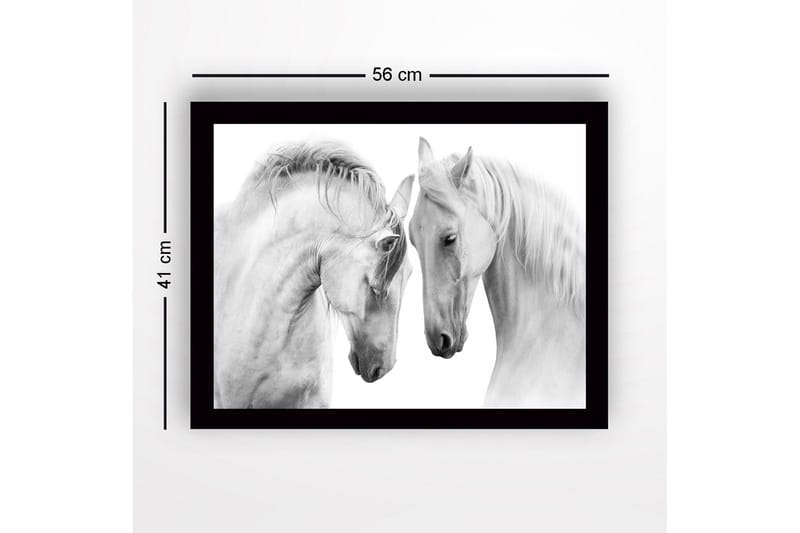 Indrammet trælærredstryk - 41x56 cm - To majestætiske heste læner hovederne mod hinanden - Hvid / Grå - Boligtilbehør - Billeder & kunst