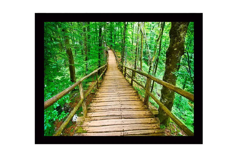 Indrammet trælærredstryk - 41x56 cm - Træbro der snor sig gennem en frodig skov, Grøn / Brun