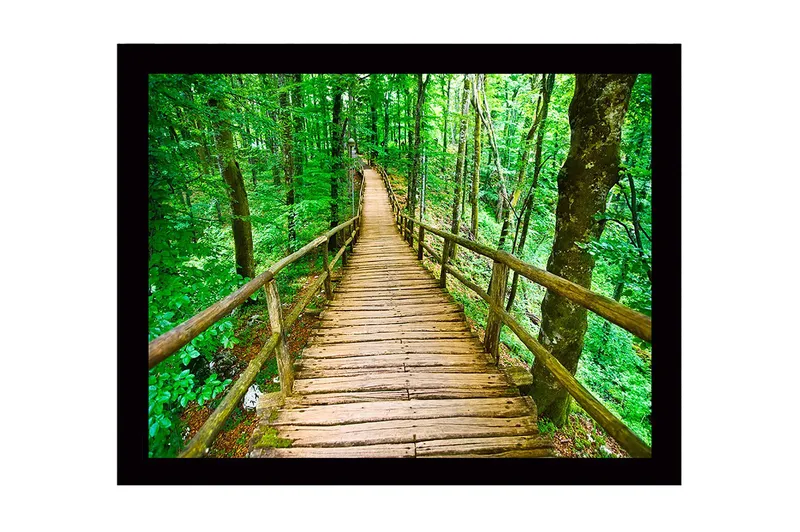 Indrammet trælærredstryk - 41x56 cm - Træbro der snor sig gennem en frodig skov, Grøn / Brun