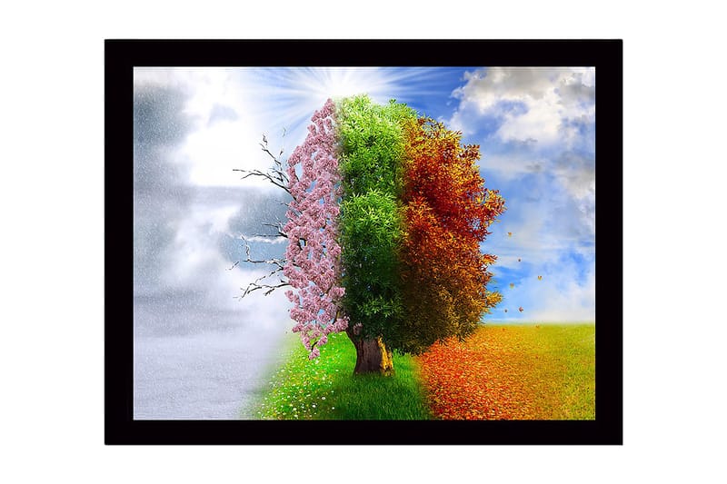 Indrammet trælærredstryk - 41x56 cm - Træer der repræsenterer de fire årstider i en harmonisk komposition, Lyserød / Grøn / Orange