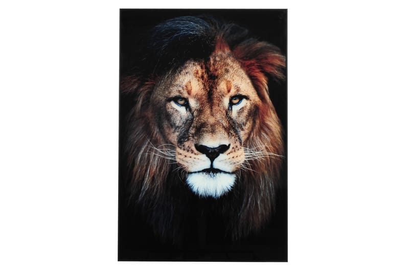 Løve Billede - 80x120 cm Flerfarvet - Boligtilbehør - Billeder & kunst