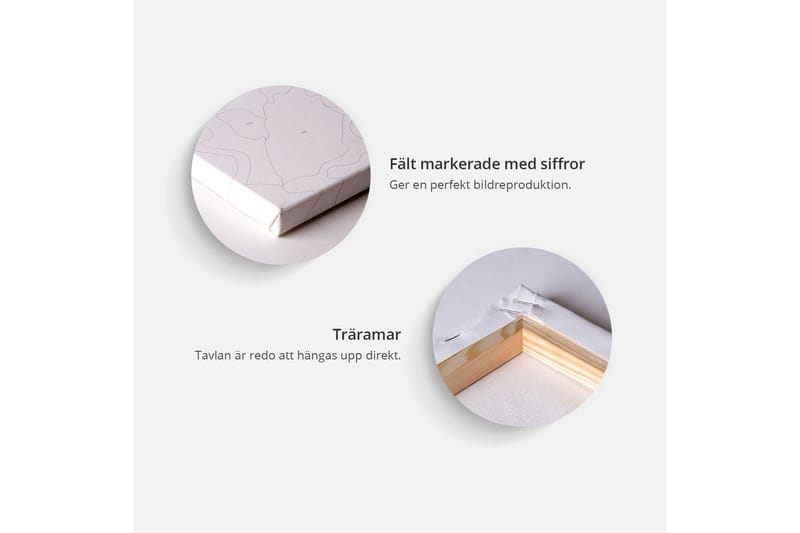 Gør-det-selv-maleri Magnolia hvid baggrund 60x40 cm - Artgeist sp. z o. o. - Boligtilbehør - Billeder & kunst - Mal selv