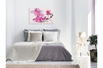Gør-det-selv-maleri Orchid Flowers 60x40 cm - Artgeist sp. z o. o. - Boligtilbehør - Billeder & kunst - Mal selv