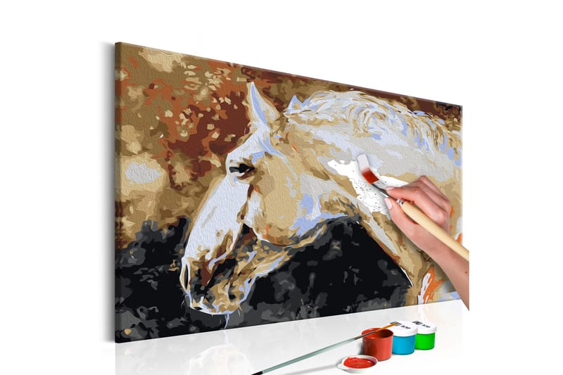 Gør-det-selv-maleri White Horse 60x40 cm - Artgeist sp. z o. o. - Boligtilbehør - Billeder & kunst - Mal selv