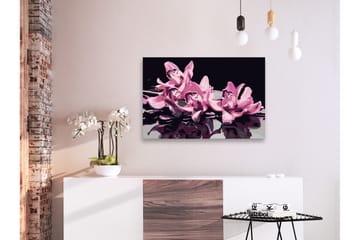 Gør-det-selv-maleri Pink Orchid Black Background 60x40 cm - Artgeist sp. z o. o. - Boligtilbehør - Billeder & kunst - Mal selv