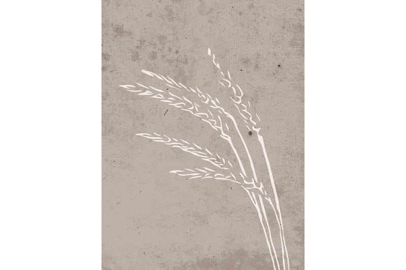 Poster Seeds 30x40 cm - Beige - Posters & plakater