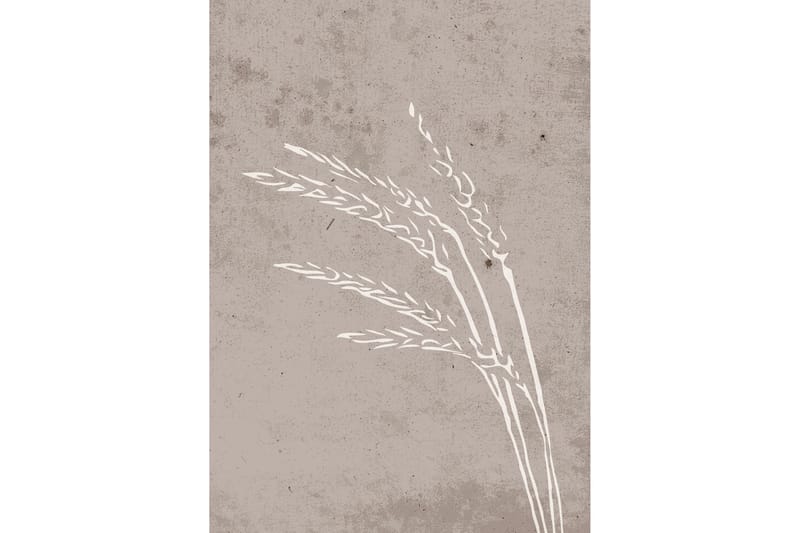 Poster Seeds 50x70 cm - Beige - Posters & plakater