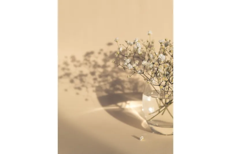 Poster White Flowers 50x70 cm, Beige