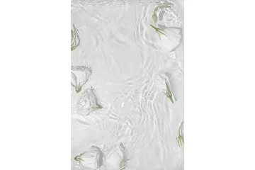 Poster White Roses 30x40 cm - Hvit - Boligtilbehør - Billeder & kunst - Posters & plakater
