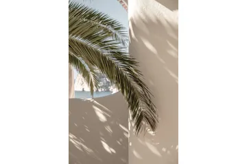 Poster Palmleaf 50x70 cm - Beige - Boligtilbehør - Billeder & kunst - Posters & plakater