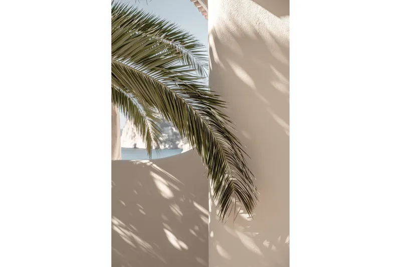Poster Palmleaf 50x70 cm, Beige