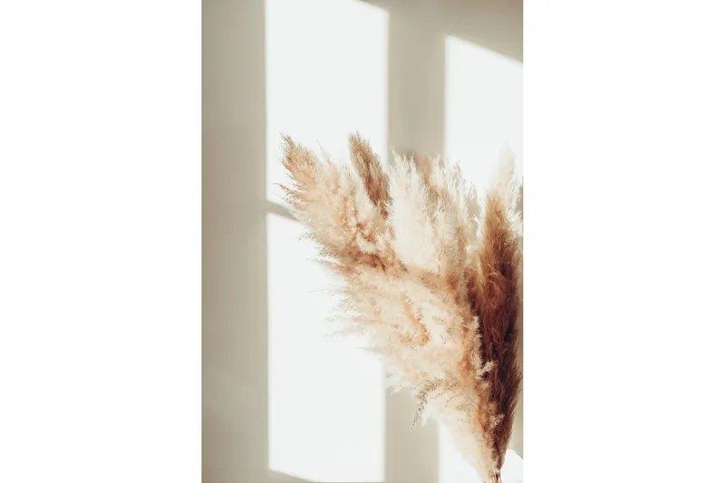 Poster Pampas 21x30 cm, Beige