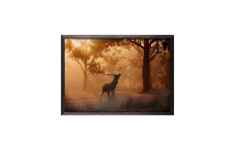 Deer At Dawn Foto Orange/Brun - 70x50 cm - Boligtilbehør - Billeder & kunst - Posters & plakater