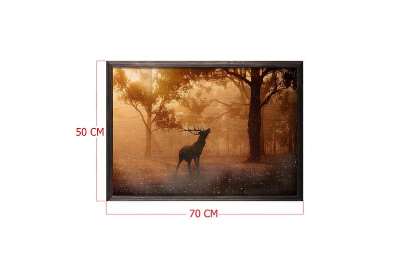 Deer At Dawn Foto Orange/Brun - 70x50 cm - Boligtilbehør - Billeder & kunst - Posters & plakater