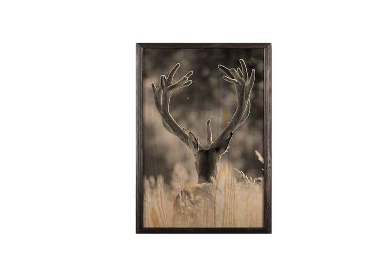 Deer In The Field Painting/Foto Grå/Beige - 50x70 cm - Boligtilbehør - Billeder & kunst - Posters & plakater