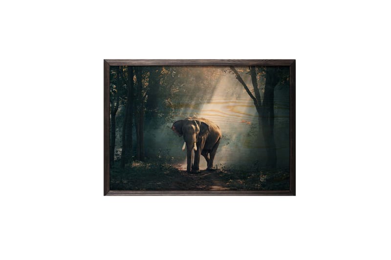 Elephant In The Djungle Foto Grøn/Beige - 70x50 cm - Boligtilbehør - Billeder & kunst - Posters & plakater